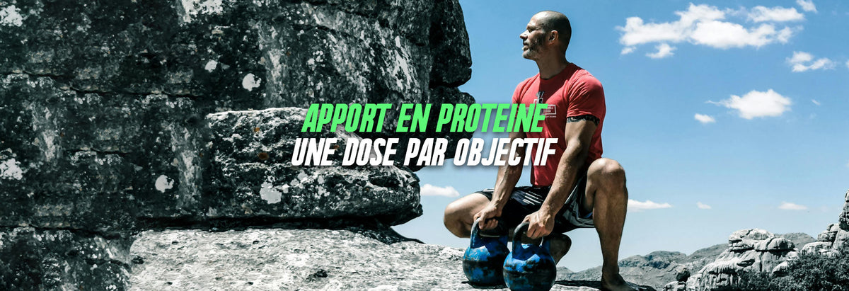 apport en protéine