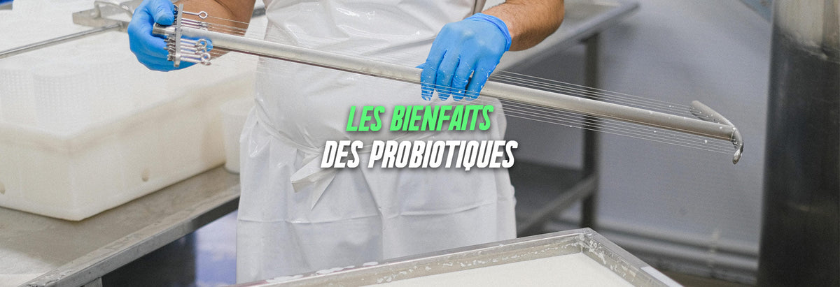 les bienfaits des probiotiques