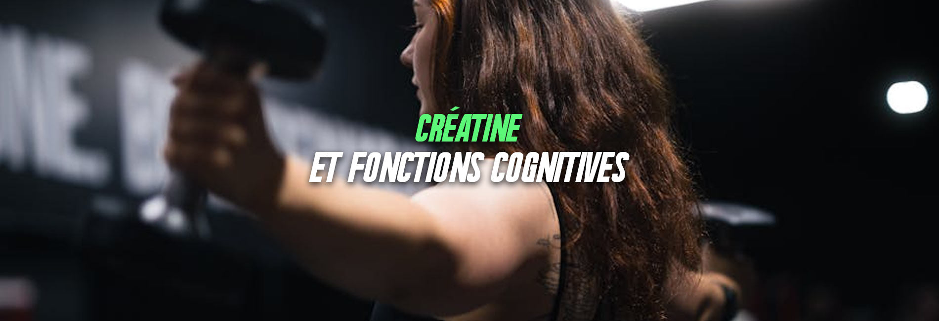 Créatine et fonctions cognitives : ce que la science dit vraiment