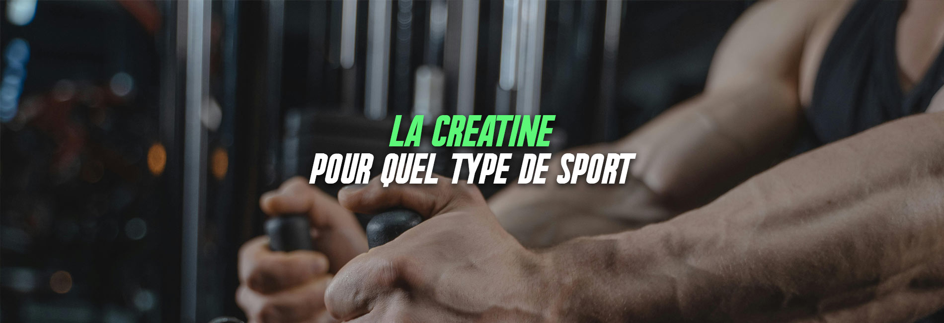 creatine pour quel sport ?
