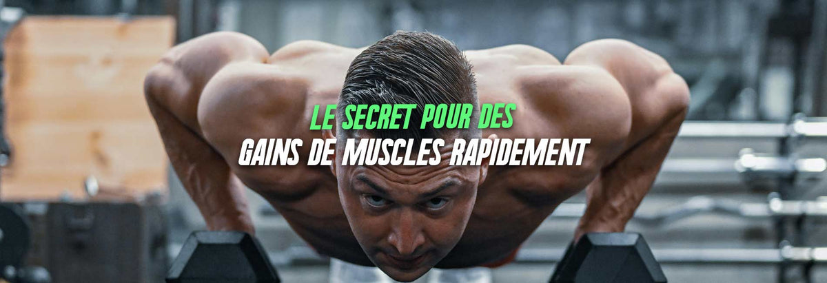 gains de muscles