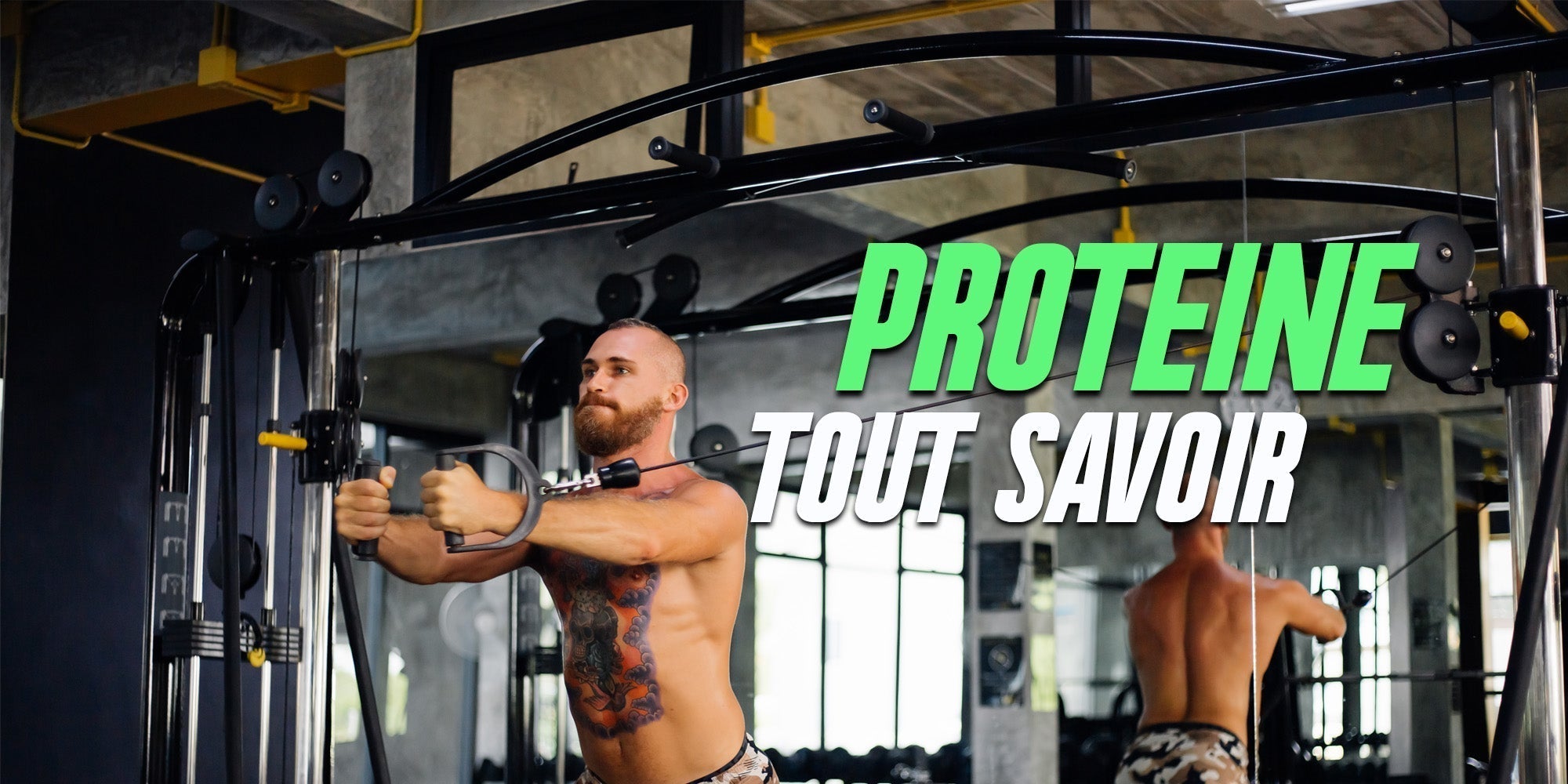 Tout savoir sur les protéines : bienfaits, dangers et idées reçues, ce que dit vraiment la science