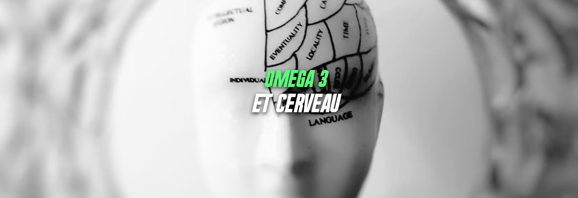 les bienfaits du zinc
