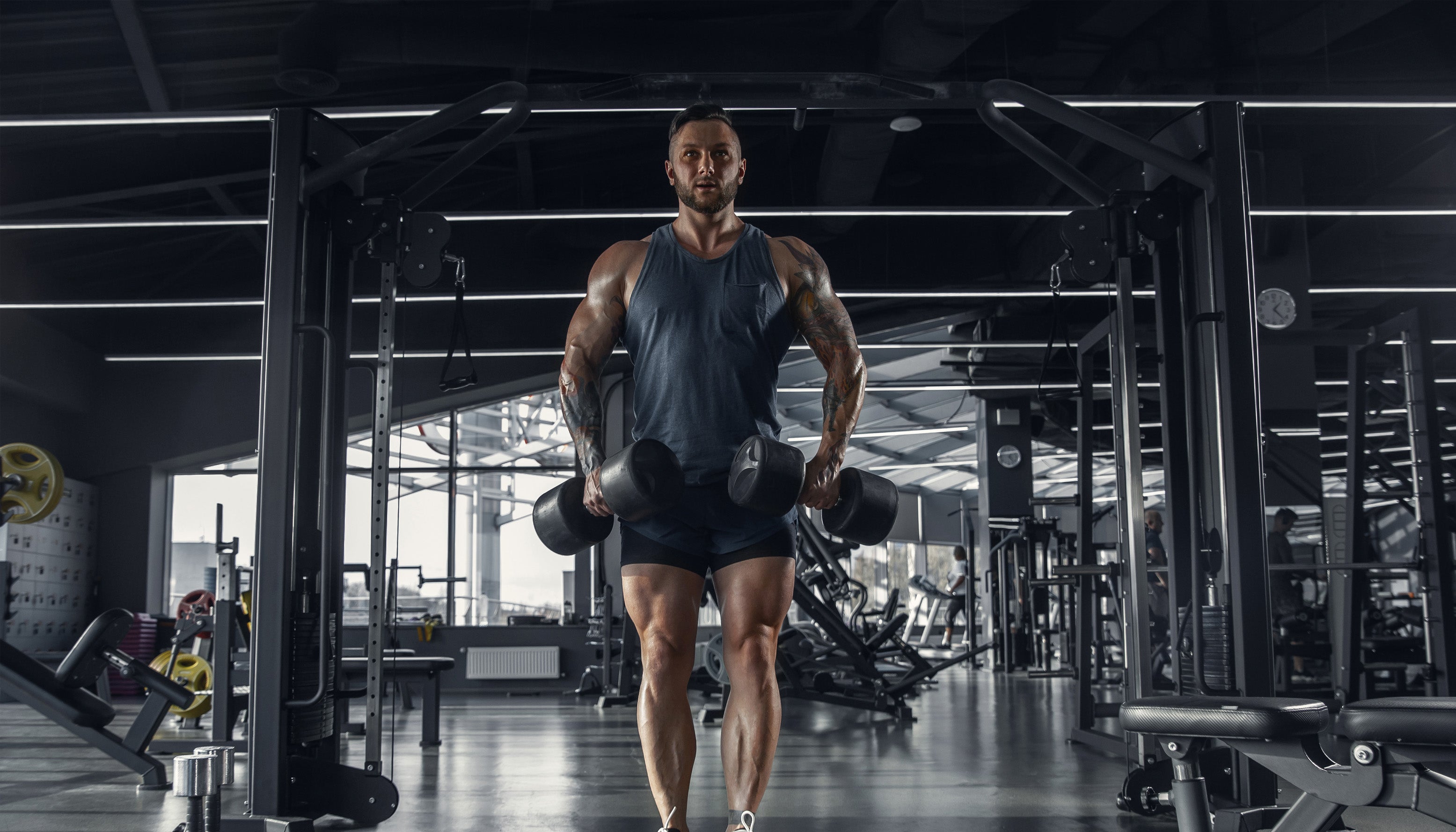 Preworkout carnosyn broadwhey