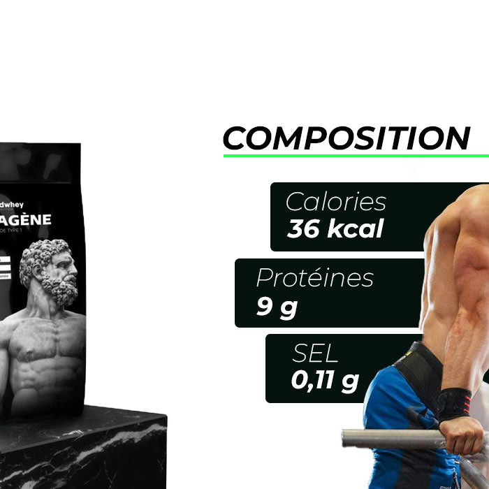 Peptide de collagène Peptan® (Type 1)