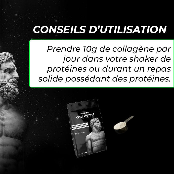 Peptide de collagène Peptan® (Type 1)