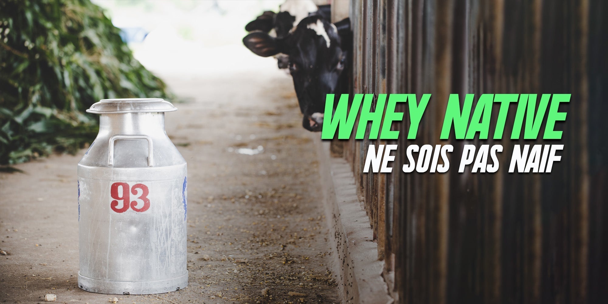 La meilleure whey du marché ?