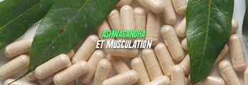 Ashwagandha et musculation