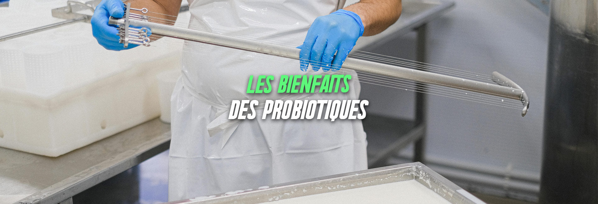 les bienfaits des probiotiques