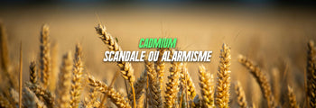Cadmium dans l'alimentation : ce que révèle l'alerte ANSES 2026 et comment le zinc peut limiter votre exposition