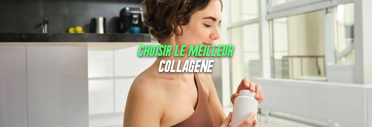 illustration collagène Marin ou Bovin