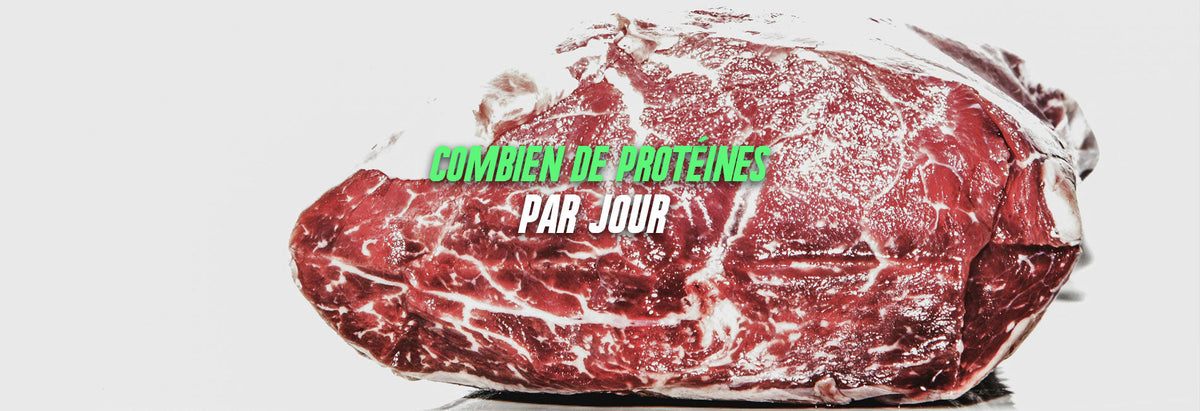 Combien de protéines par jour ? Par Âge, Sexe et Objectif
