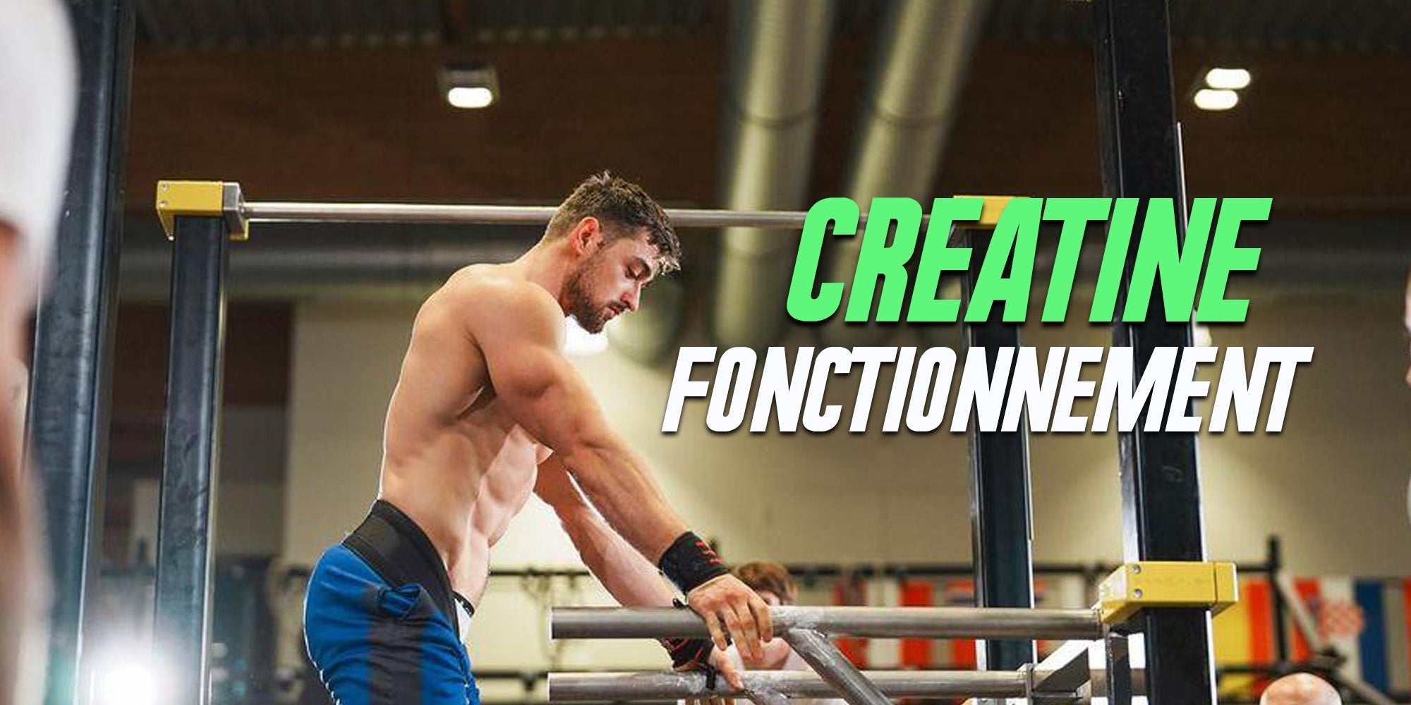 Comment fonctionne la créatine dans le corps