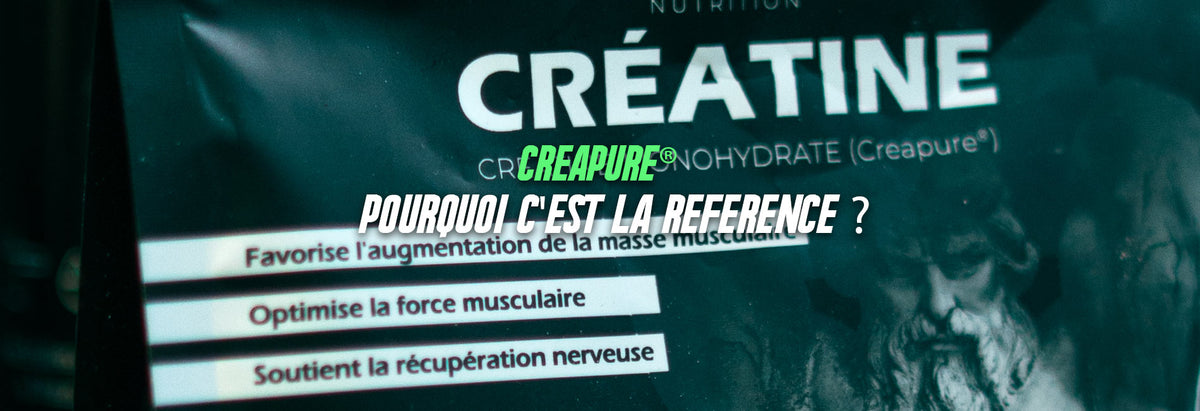 effets de la créatine