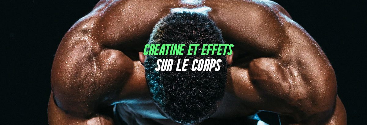 effets de la créatine