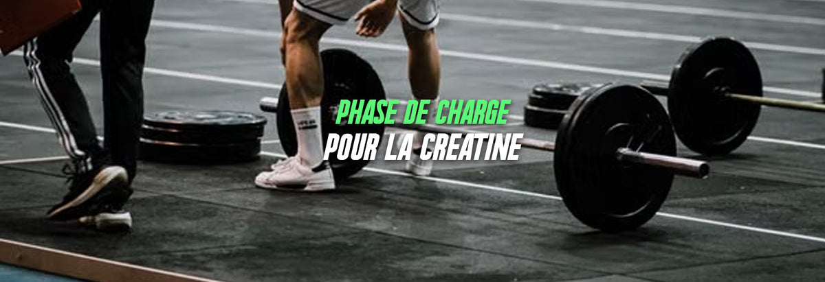 effets de la créatine
