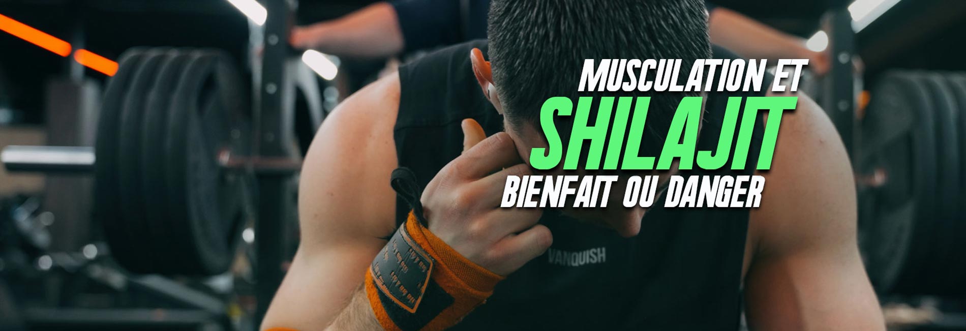 Complément shilajit