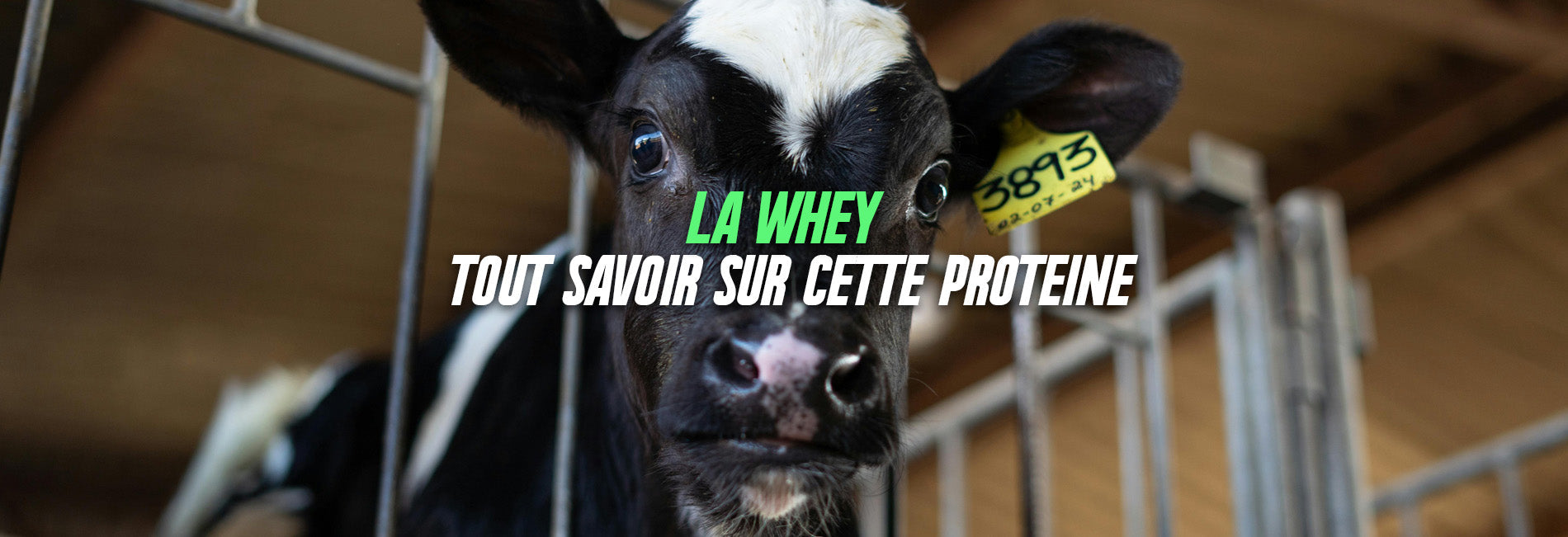illustration mythe compléments alimentaires