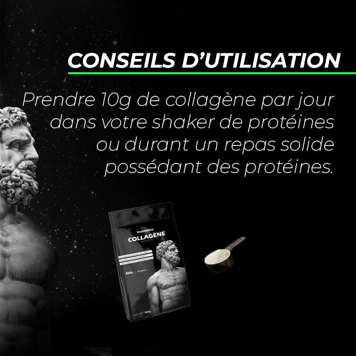 Peptide de collagène Peptan® (Type 1)