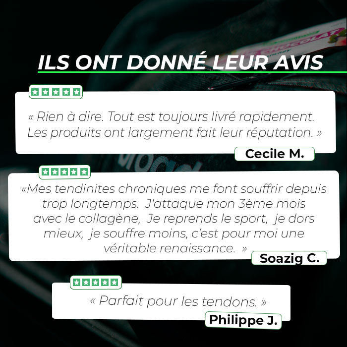 Peptide de collagène Peptan® (Type 1)