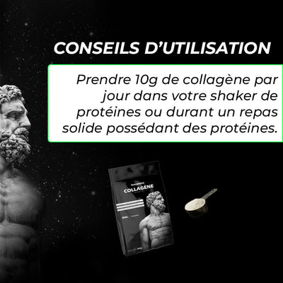 Peptide de collagène Peptan® (Type 1)